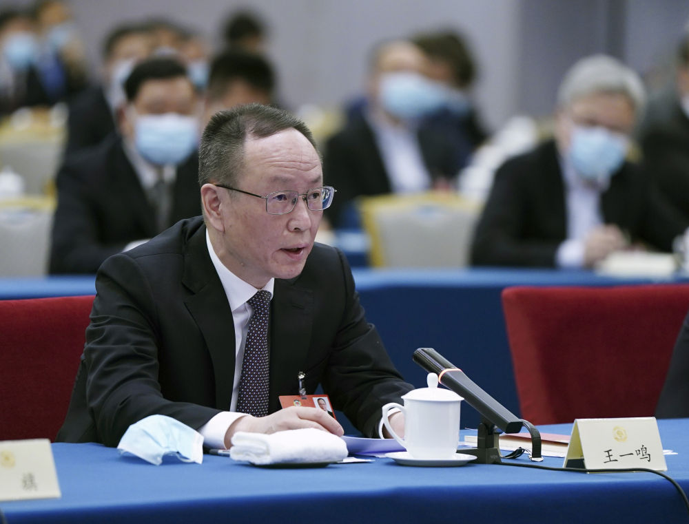 5月23日，全國政協(xié)委員王一鳴在經(jīng)濟界聯(lián)組會上發(fā)言。新華社記者　謝環(huán)馳　攝